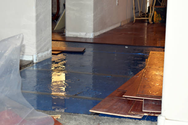 Professional Sewage Cleanup technician working in Quinton, AL